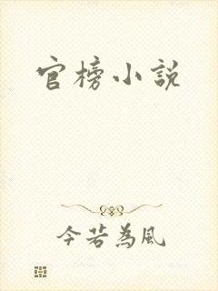 官榜小说封面