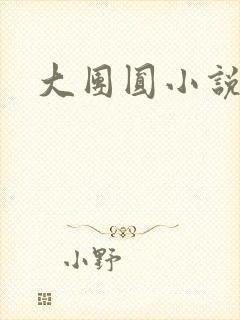 大团圆小说