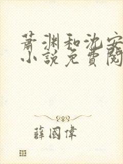 萧渊和沈安安的小说免费阅读