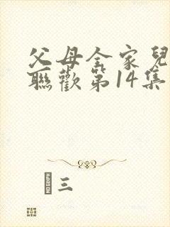 父母全家儿女大联欢第14集封面