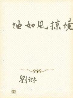 他如风掠境