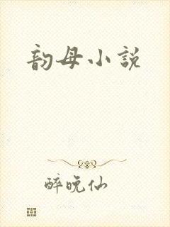 韵母小说封面