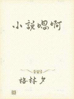 小说嗯啊封面