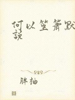 何以笙箫默 小说