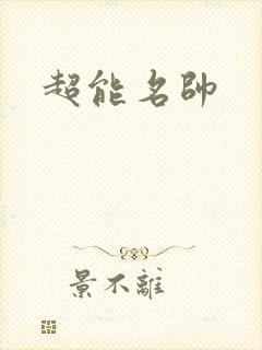 超能名帅封面