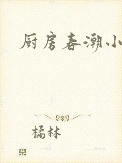 厨房春潮小说封面