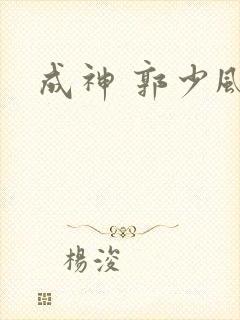 成神 郭少风封面