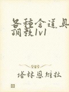 各种含道具高h调教1v1