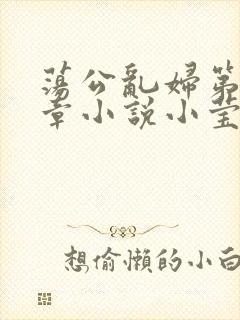 荡公乱妇第51章小说小莹