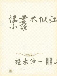恨君不似江楼月小说