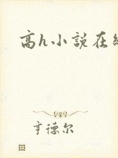 高h小说在线看