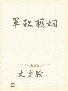 军政联姻封面