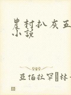 农村扒灰五十篇小说封面