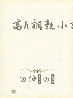 高h调教小说
