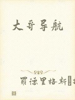 大哥导航