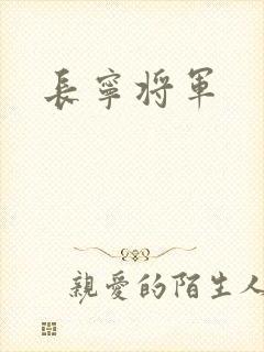 长宁将军封面