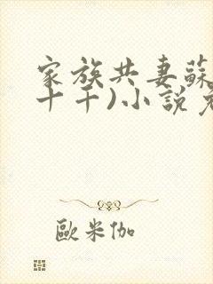 家族共妻苏苏(十千)小说免费