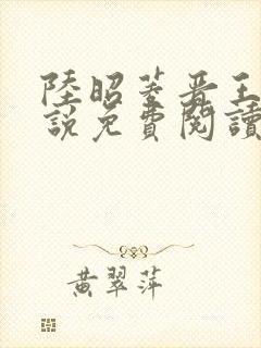 陆昭菱晋王的小说免费阅读