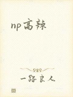 np高辣