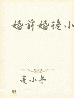婚前婚后小说