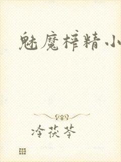 魅魔榨精小说封面