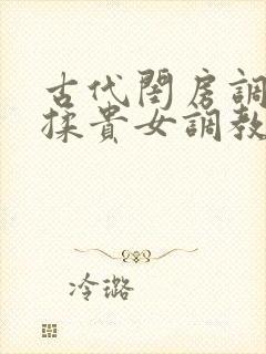 古代闺房调教h揉贵女调教记