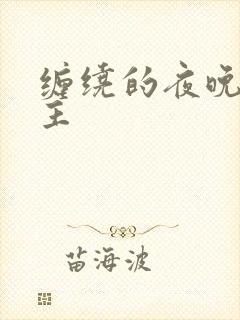 缠绕的夜晚双男主