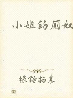 小姐的厕奴