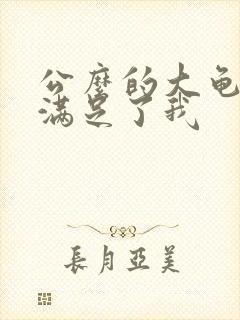 公么的大龟强大满足了我