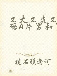 又大又爽又黄无码A片男和男