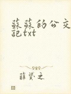 苏苏的公交车日记txt