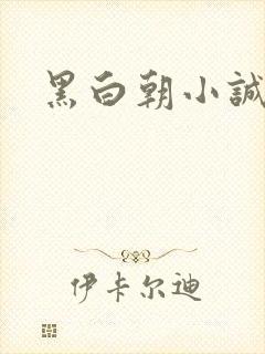 黑白朝小诚封面