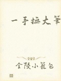 一手抚大笔趣阁
