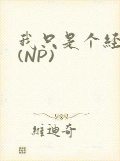 我只是个经纪人(NP)