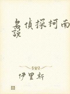 名侦探柯南h小说封面