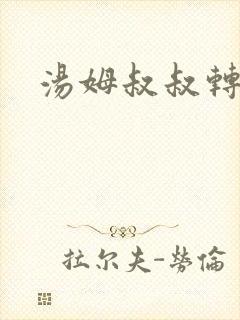 汤姆叔叔转接口