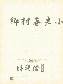 乡村春光小说封面