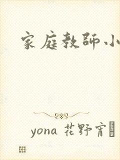 家庭教师小说