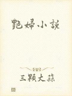 艳妇小说