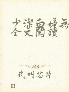 少洁白妇无删减全文阅读封面
