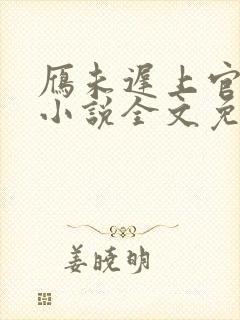 雁未迟上官穿越小说全文免费阅读封面