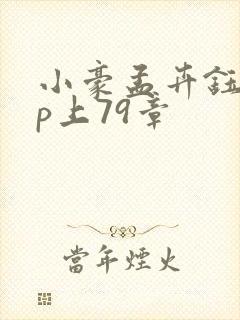 小豪孟卉钰慧三p上79章