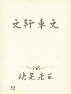 文轩车文