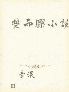 双面胶小说封面