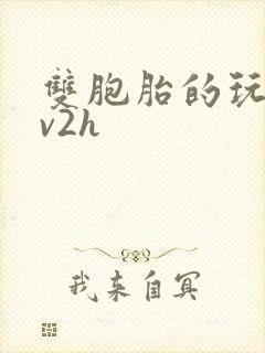 双胞胎的玩具1v2h