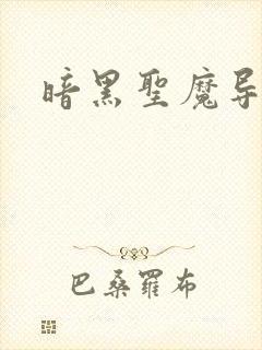 暗黑圣魔导