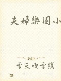 夫妇乐园小说