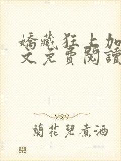 娇藏狂上加狂全文免费阅读笔趣阁