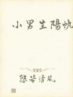 小男生阳帆