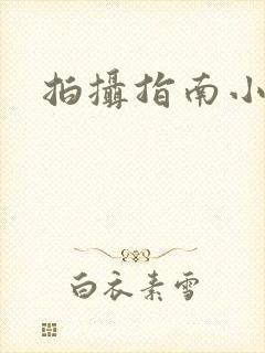 拍摄指南小说